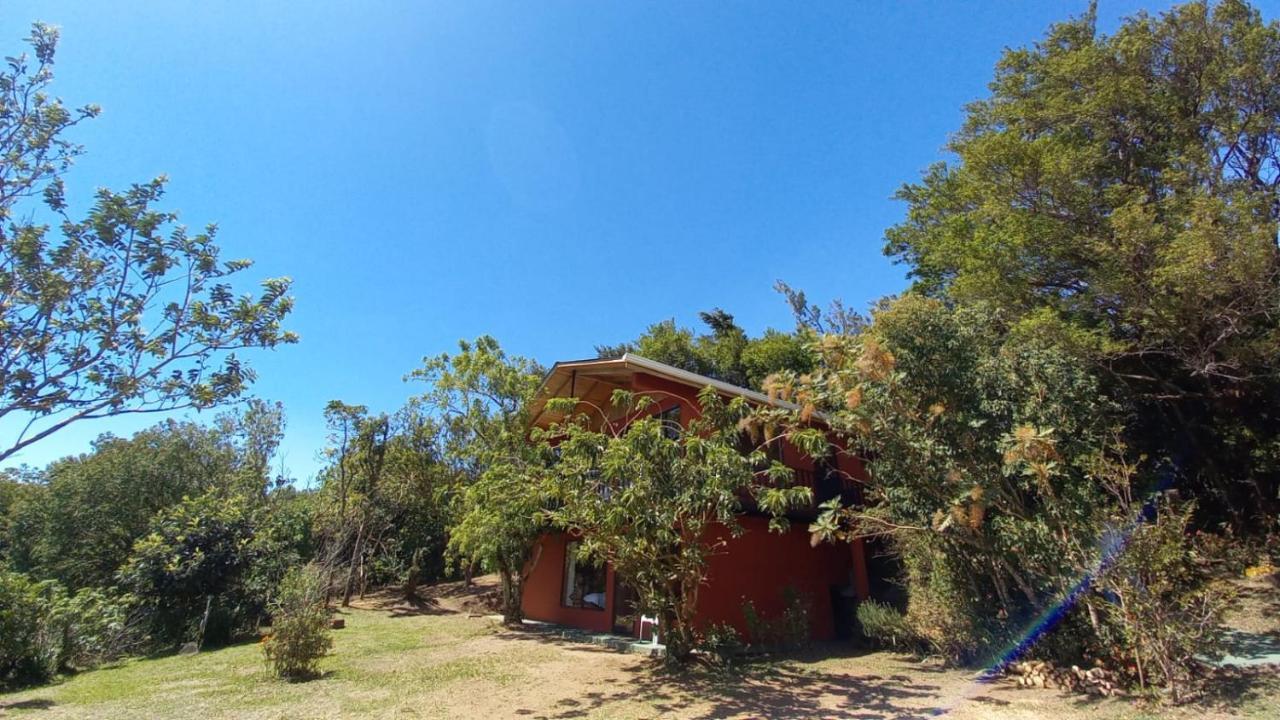 Casa De Montana Tica Linda Villa Monteverde Exteriör bild