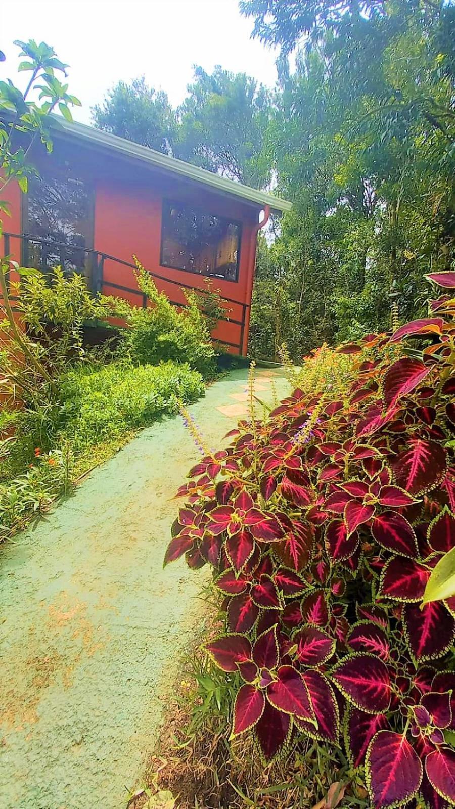 Casa De Montana Tica Linda Villa Monteverde Exteriör bild
