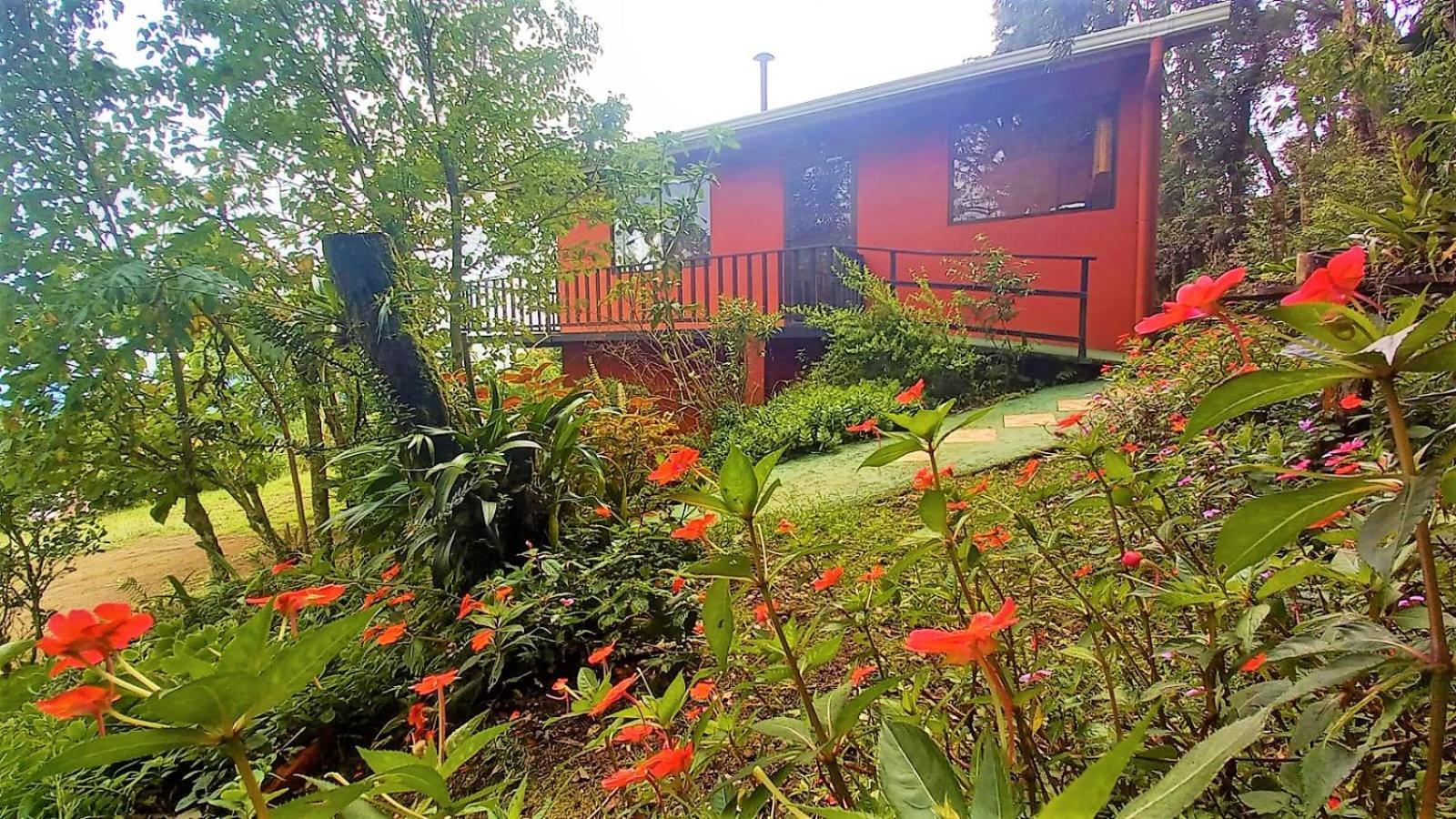Casa De Montana Tica Linda Villa Monteverde Exteriör bild